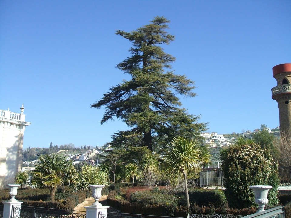 Aunque me gusta mas caminar y observar la flora.