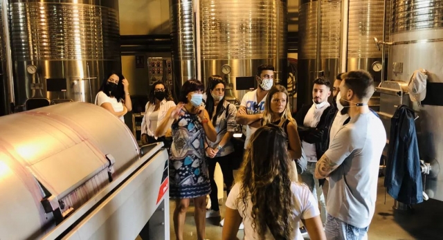 Proceso de maduración del vino
