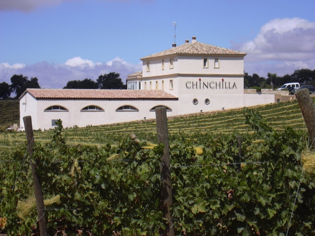 Vistas de chinchilla