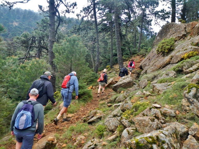  Excursão ao topo 