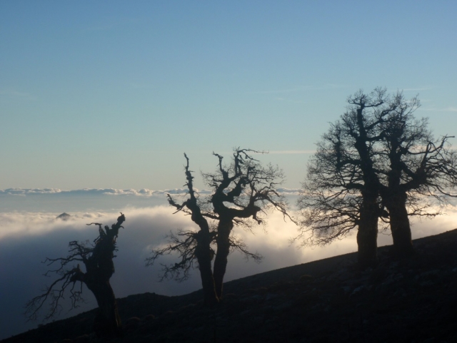  Landschaften 
