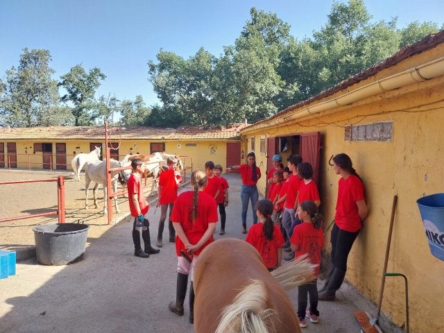 Caballos en El Espinar