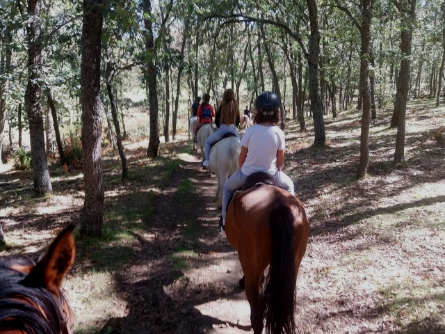 Contemplando la Sierra de Guadarrama a caballo