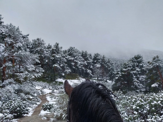 Subiendo por el sendero nevado de El Espinar