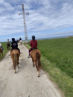 res_o-66585-rutas-a-caballo_de_ana-quinones-romero_1775250952356.jpeg