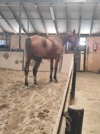 res_o-67750-rutas-a-caballo_de_miguel-g_17899669763210.jpg
