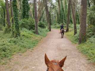 res_o-67896-rutas-a-caballo_de_geanina-popa_22039_17919957773463.jpg
