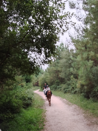 res_o-67896-rutas-a-caballo_de_geanina-popa_22040_17919957851572.jpg