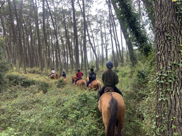 Opinione di Ana Quiñones su Percorso del cavallo attraverso il parco naturale di Lieencre 1H