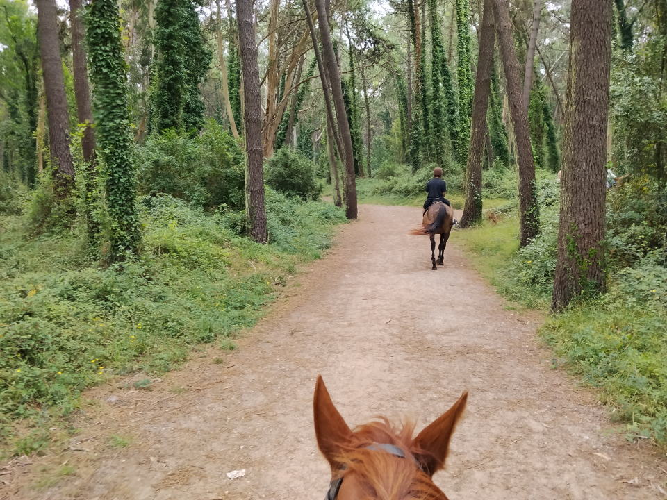 res_o-67896-rutas-a-caballo_de_geanina-popa_22039_17919957773463.jpg
