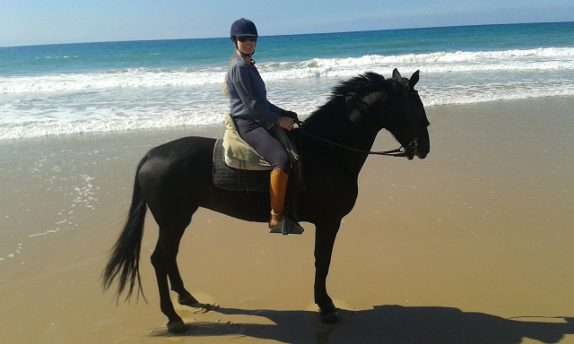  Zu Pferd am Strand von Barbate entlang 