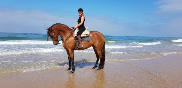  Reiten ein Pferd am Strand