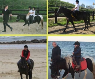 Clases, paseos y excursiones 