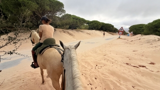res_o-67101-rutas-a-caballo_de_xiao-wang-guan_17829041949595.jpeg