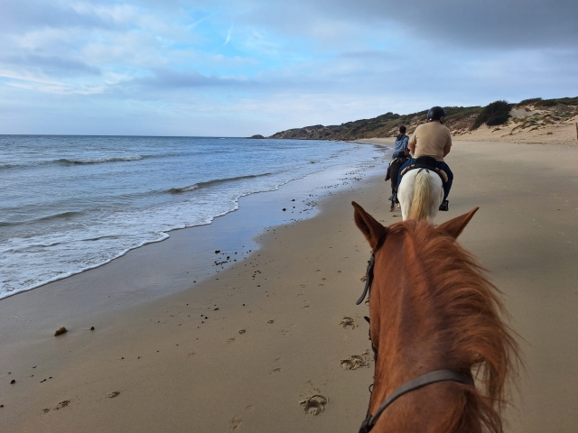 Bewertung von Gustavo Über Reiten im Strait Natural Park 1 Stunde Bewertung von Gustavo Über Reiten im Strait Natural Park 1 Stunde