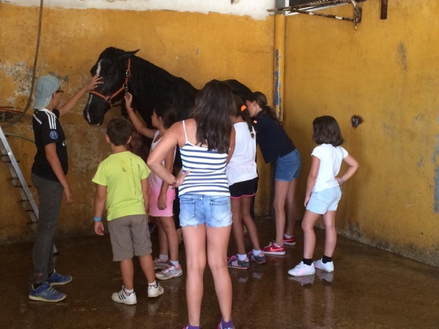 Limpiando al caballo