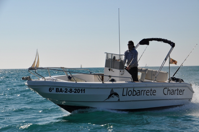 dsc-0529-llobarrete.jpg
