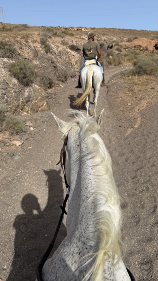 res_o-67197-rutas-a-caballo_de_marijn-rus_17841340884151.jpeg