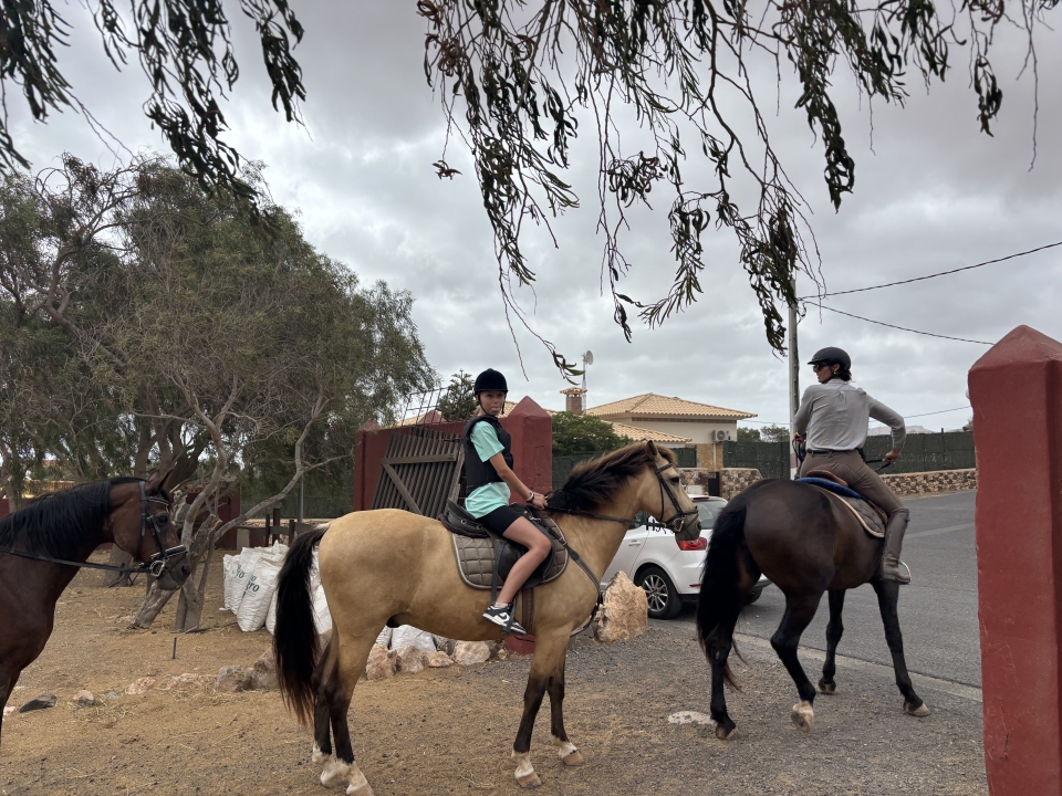 res_o-65014-rutas-a-caballo_de_blocksidge_17534619703040.jpeg res_o-65014-rutas-a-caballo_de_blocksidge_17534619703040.jpeg