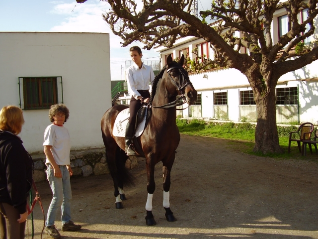 Caballo en nuestras instalaciones