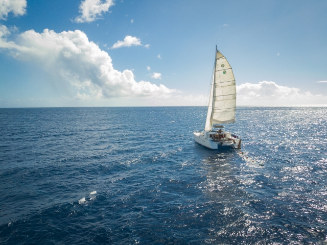 Navegando en catamaran