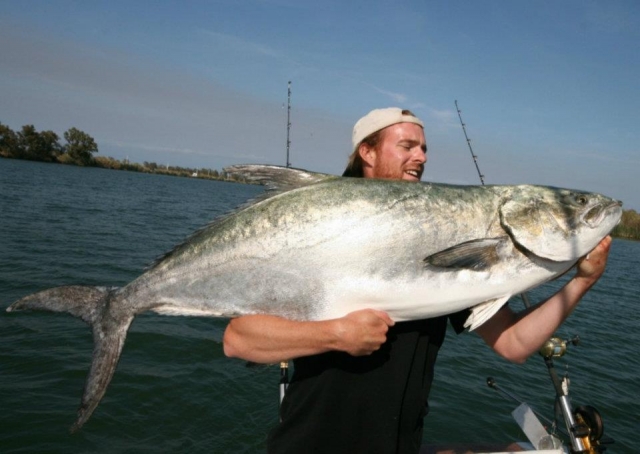 palometon récord de 37,5 kg 