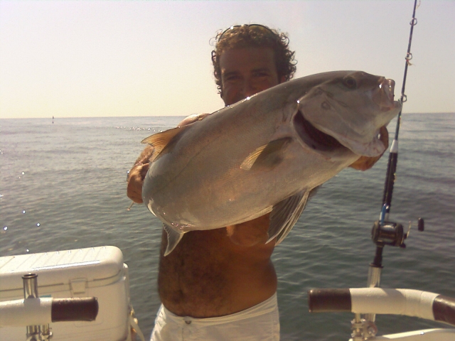 Serviola 1, 13,800 Kg