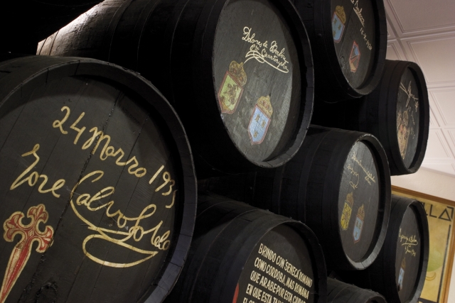 cruzc_mg_7769_original_bodegas-cruz-conde.jpg