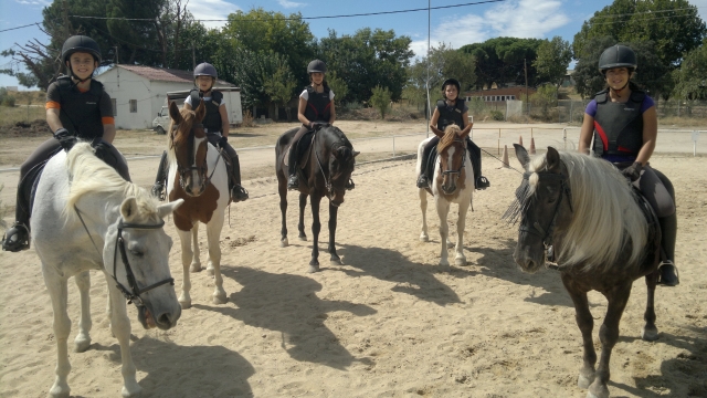  gruppi di studenti 