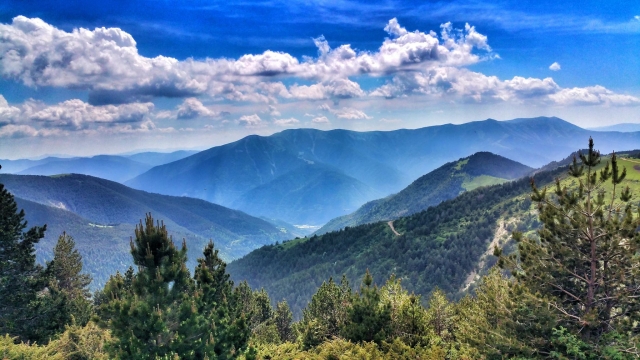 Excursión por la naturaleza