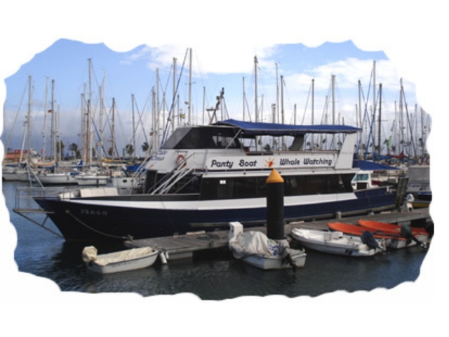 barco caboCreus