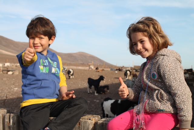  I più piccoli della famiglia 