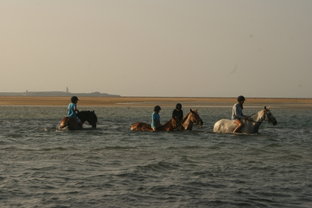 paseo por la playa