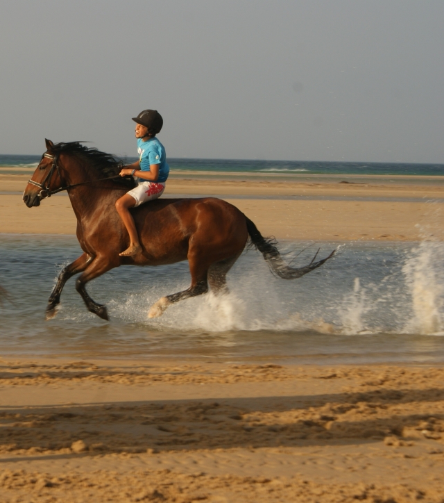 galopando en la playa
