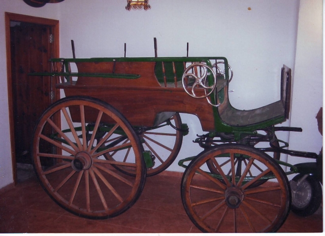 Calesa para paseos