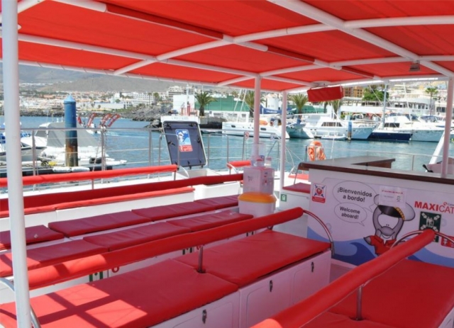  Katamaransitze auf Teneriffa 