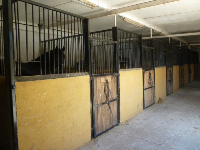  The stables 