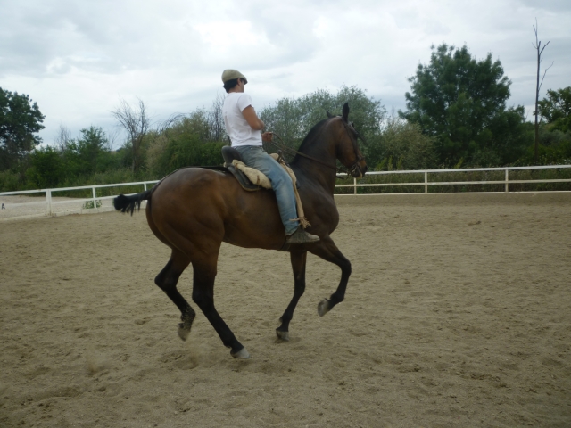  Rider A la Vaquera 