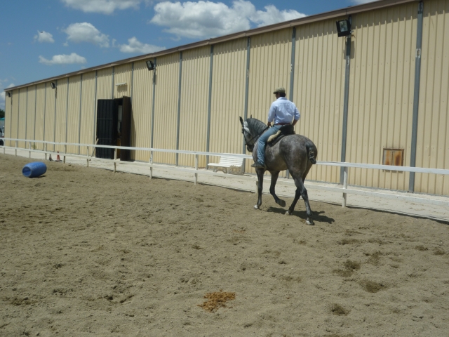  Rider