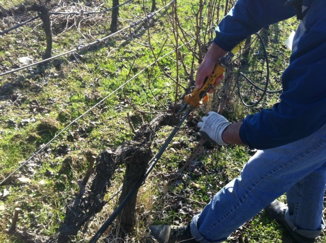  Working in the Field