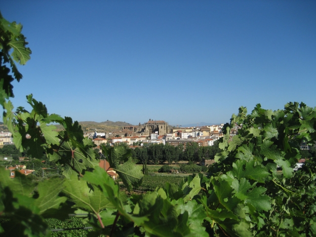  Viticultural environment 