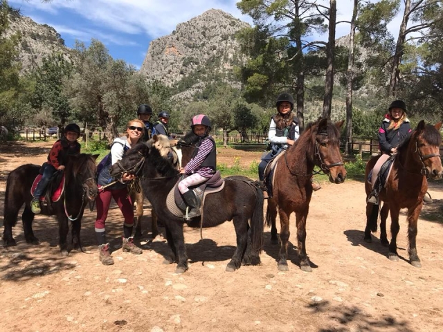  Attività con cavalli e pony 