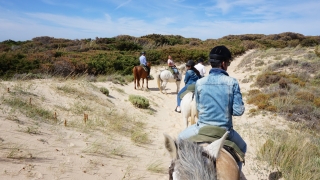 res_o-36257-rutas-a-caballo_de_raul_14942362433906.JPG
