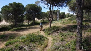 res_o-36257-rutas-a-caballo_de_raul_14942362463557.JPG