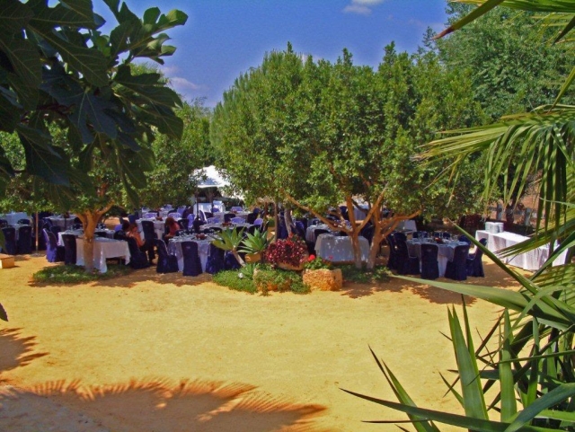 Almuerzo en el jardín