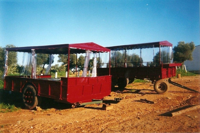 Visita a nuestro cortijo