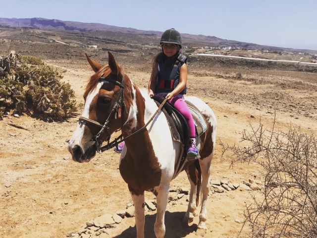 Cabalga en uno de nuestros caballos en Canarias