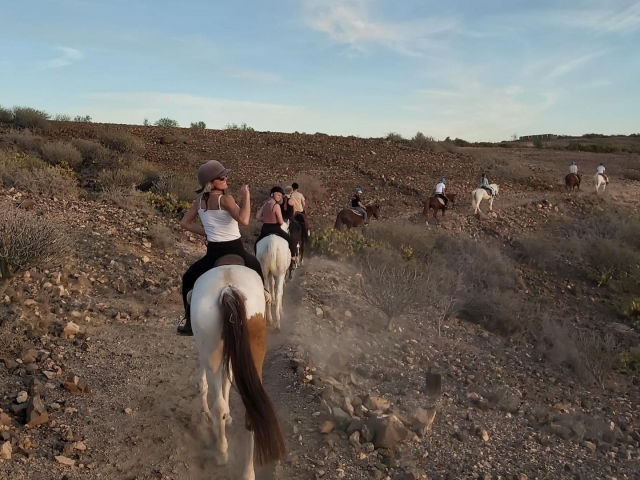 Difruta de una ruta a caballo por las dunas de Maspalomas
