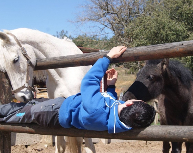 Diversion con los caballos