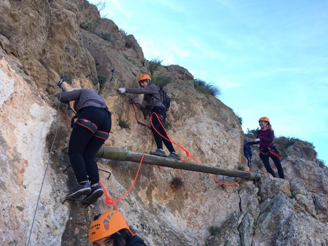 Tronco en la pared de la ferrata